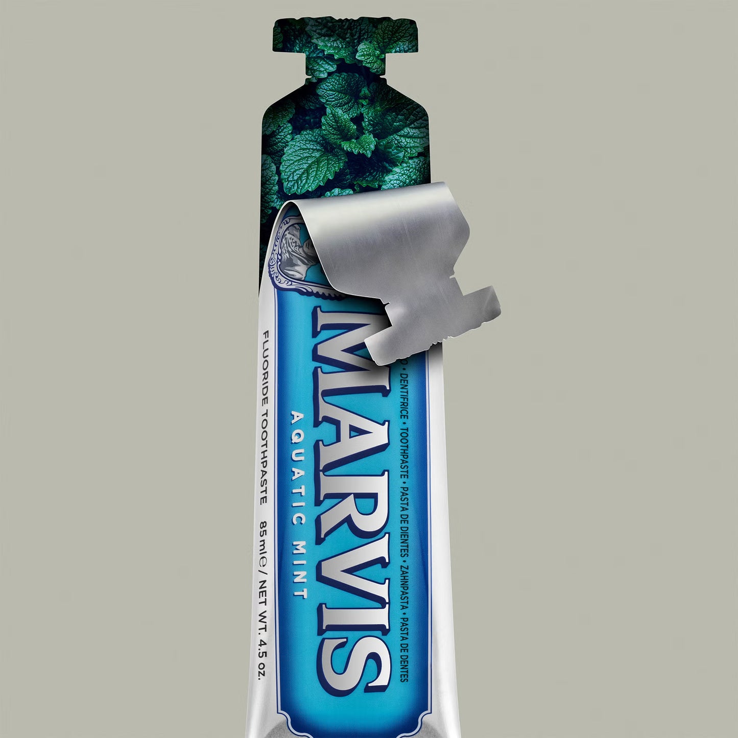 Aquatic Mint Toothpaste (75 ml)